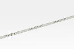 LED Star Strip 3100 TW, LED STRIP 3100 S TW/24V 5M