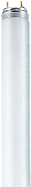 Produktbild - Lampe fluorescente Spectralux®Plus, NL-T8 18W/865/G13