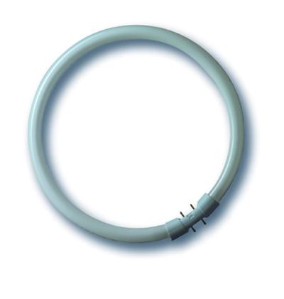 Produktbild - Leuchtstofflampe Bonalux®Ring , NL-T5 55W/840C/2GX13