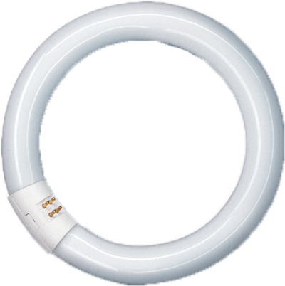 Produktbild - Lampe fluorescente Spectralux®Plus Ring, NL-T9 22W/840C/G10Q