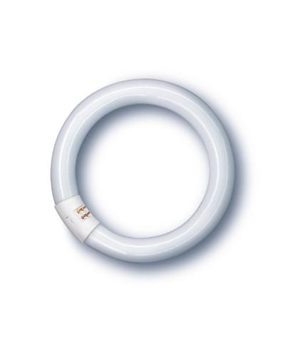 Produktbild - Leuchtstofflampe Spectralux®Plus Ring , NL-T9 40W/840C/G10Q
