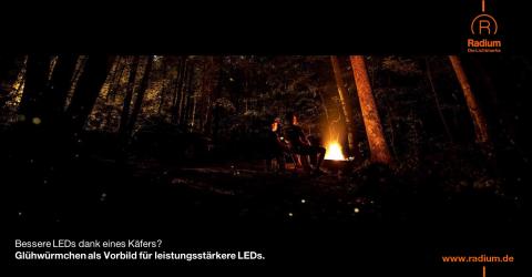 Glühwürmchen und LEDs
