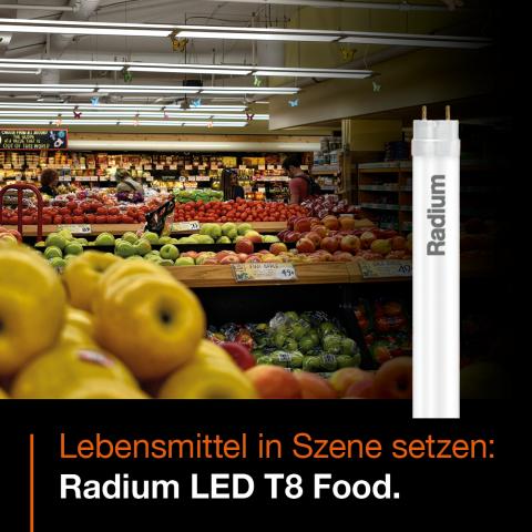 Radium LED T8 Food