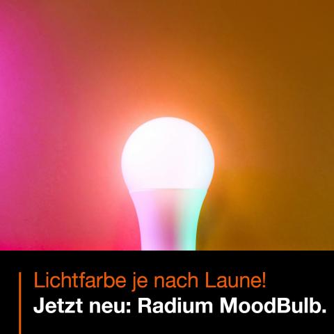 MoodBulb