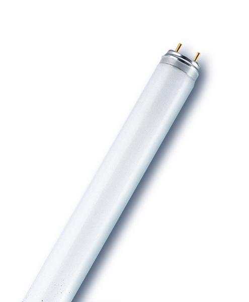 G13 Tube Fluorescent 58w 3000K /830 Incandia