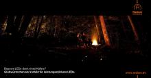 Glühwürmchen und LEDs