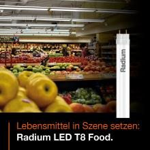 Radium LED T8 Food