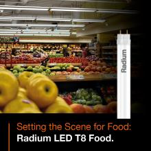 Radium LED T8 Food