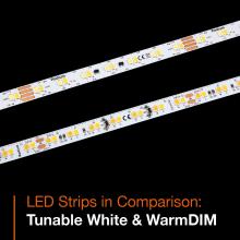 LED Star Strip WarmDIM & Tunable White in Comparison