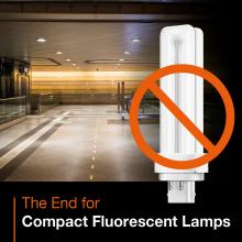 Compact fluorescent lamp ban