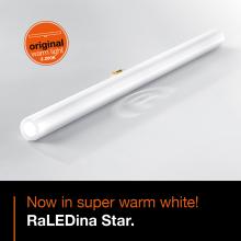 RaLEDina Star